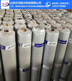 深入解析杭州與山東巨洋耐根穿刺防水卷材 關鍵技術、檢測標準與市場應用